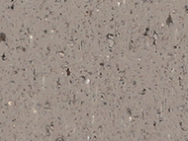 Platinum Modular Paver — Accessories