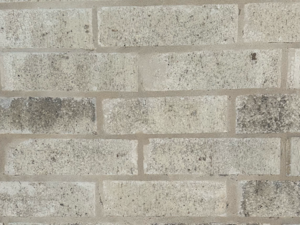 Hollister Brick swatch